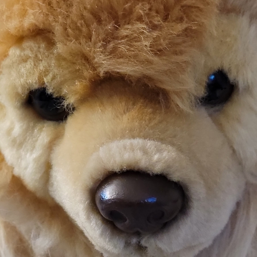 Webkinz Signature Pomeranian Ganz - Picture 4 of 10